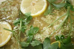 fliederblütengelee 002