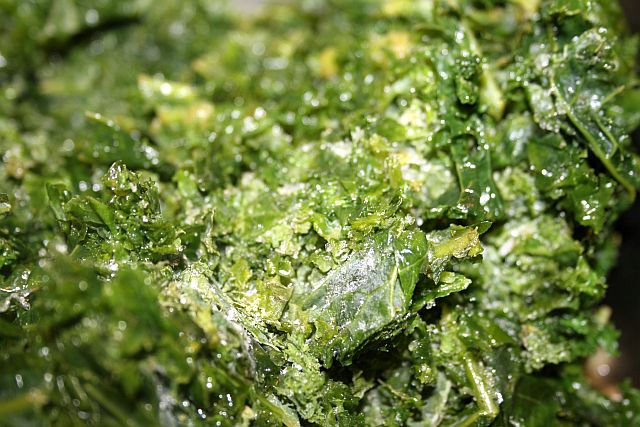 Grünkohl 004-b