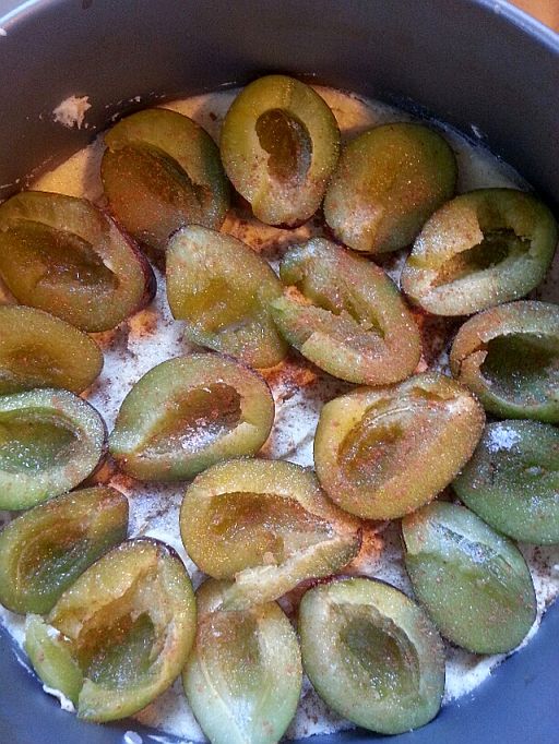 20160827_132246_resized