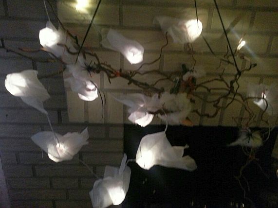 20161019_214220_resized