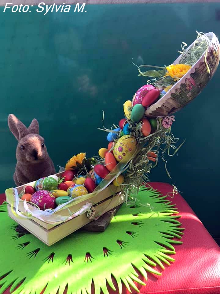 91327877_10219131484150824_3721031237142315008_n