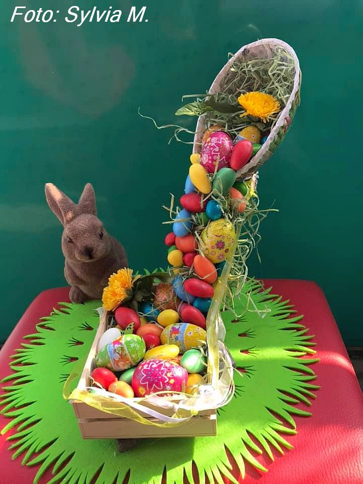 91384827_10219131482030771_3646217395086819328_n